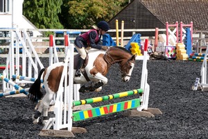 Class 3 -  Fences not above 2'3